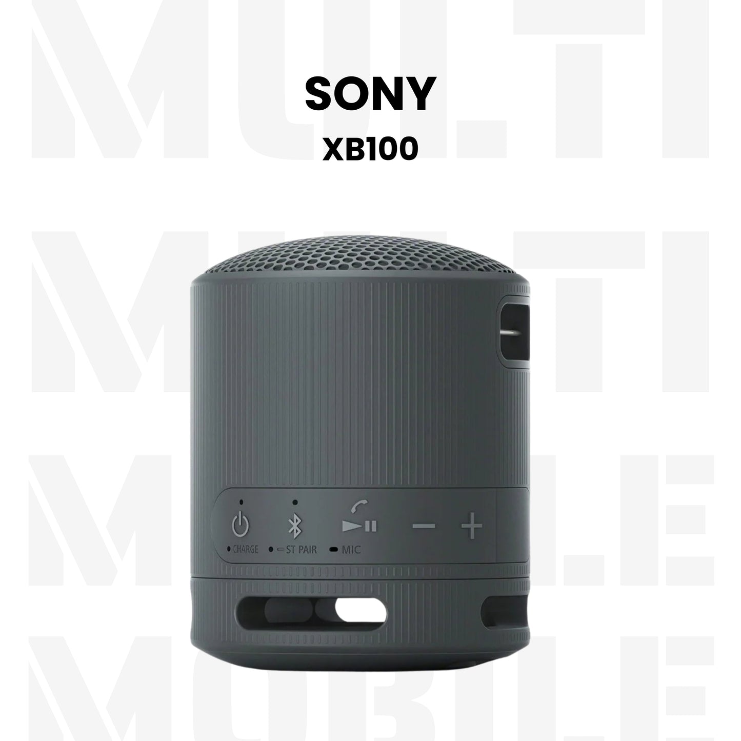 Sony Waterproof Bluetooth Portable Speaker